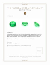 1.06 Ct. Emerald from Colombia Appraisal