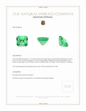 1.12 Ct. Emerald from Colombia Appraisal