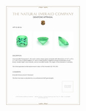 1.38 Ct. Emerald from Colombia Appraisal