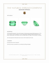 1.38 Ct. Emerald from Colombia Appraisal