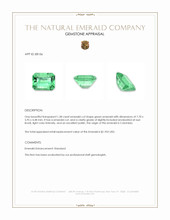 1.38 Ct. Emerald from Colombia Appraisal