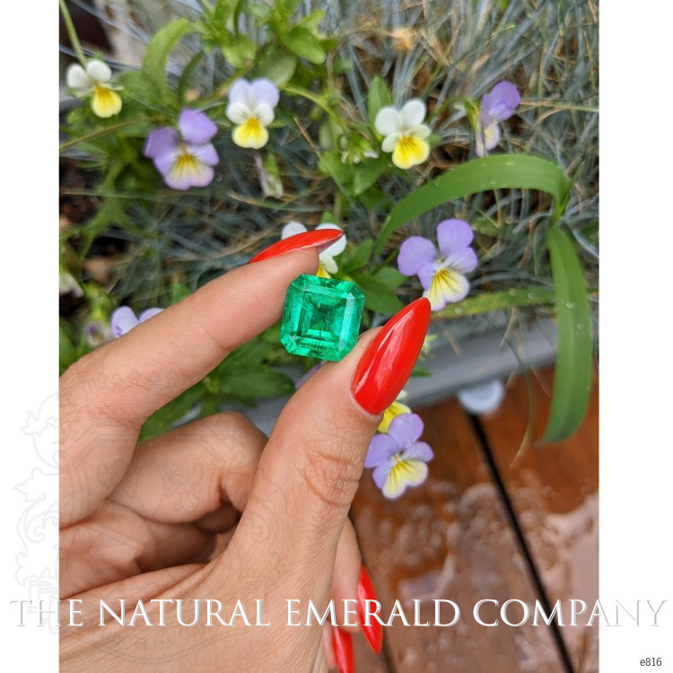 8.69 Ct. Emerald from Colombia
