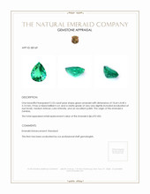 2.53 Ct. Emerald from Zambia Appraisal