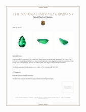 2.59 Ct. Emerald from Zambia Appraisal