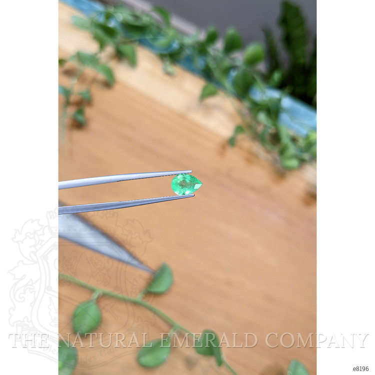 1.08 Ct. Emerald from Colombia