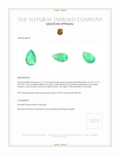 1.27 Ct. Emerald from Colombia Appraisal