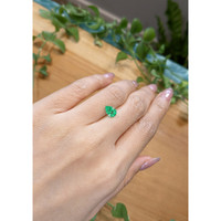 1.06 Ct. Emerald from Colombia Life Style