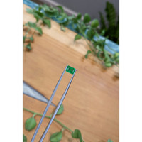 1.09 Ct. Emerald from Afghanistan Life Style