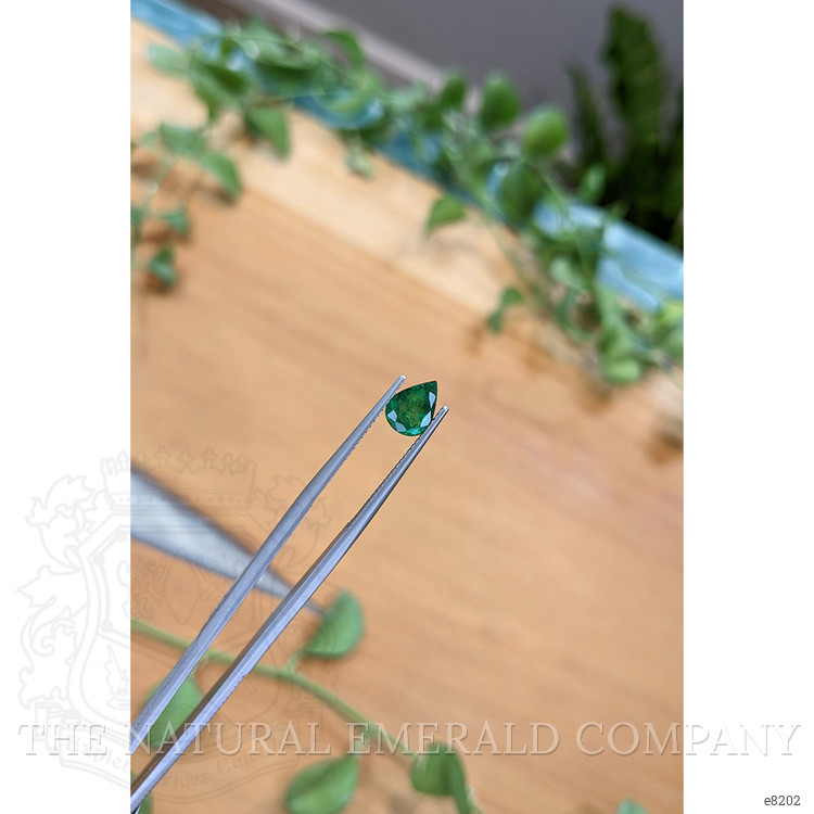 1.05 Ct. Emerald from Afghanistan