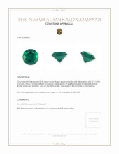 0.45 Ct. Emerald from Afghanistan Appraisal