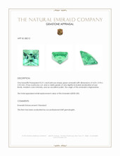 0.31 Ct. Emerald from Afghanistan Appraisal