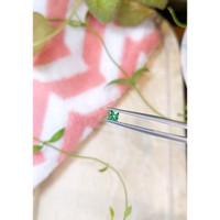 0.31 Ct. Emerald from Afghanistan Life Style