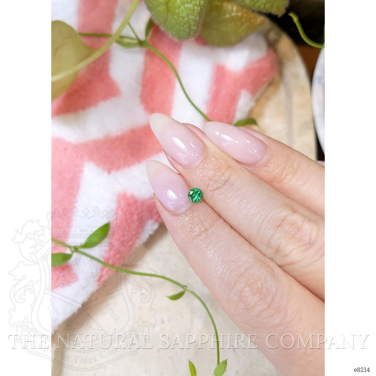 0.27 Ct. Emerald from Afghanistan