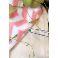 0.27 Ct. Emerald from Afghanistan Life Style