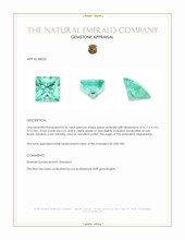 0.35 Ct. Emerald from Afghanistan Appraisal