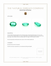 0.80 Ct. Emerald from Zambia Appraisal