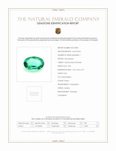 Jewelry Scan Report