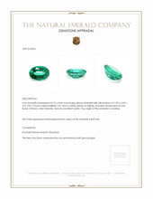 0.75 Ct. Emerald from Zambia Appraisal