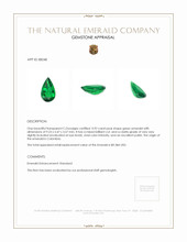 0.92 Ct. Emerald from Colombia Appraisal