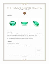 0.77 Ct. Emerald from Zambia Appraisal