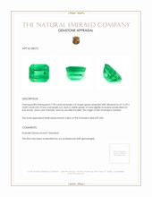 7.90 Ct. Emerald from Zambia Appraisal