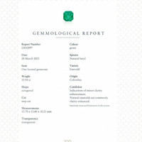 10.94 Ct. Emerald from Colombia Scan Report