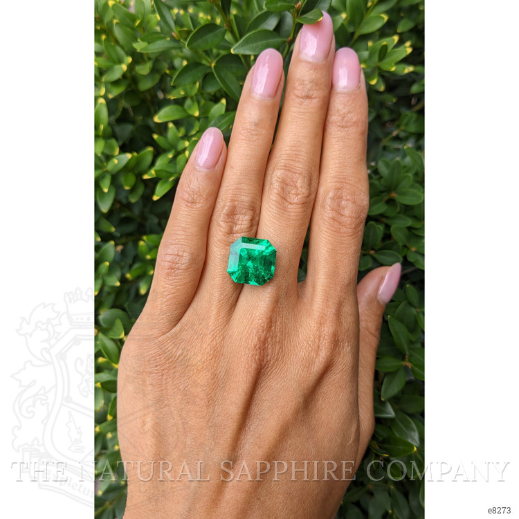 10.94 Ct. Emerald from Colombia