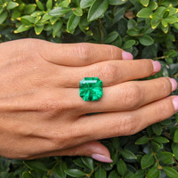 10.94 Ct. Emerald from Colombia Life Style