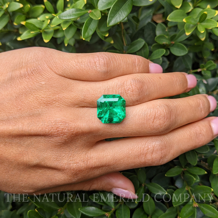 10.94 Ct. Emerald from Colombia
