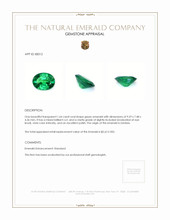 1.64 Ct. Emerald from Zambia Appraisal