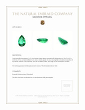 1.67 Ct. Emerald from Zambia Appraisal