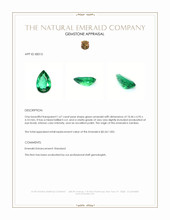 1.67 Ct. Emerald from Zambia Appraisal
