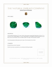 2.73 Ct. Emerald from Zambia Appraisal