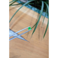 0.61 Ct. Emerald from Colombia Life Style