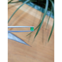 0.36 Ct. Emerald from Colombia Life Style