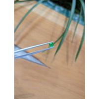 0.30 Ct. Emerald from Afghanistan Life Style