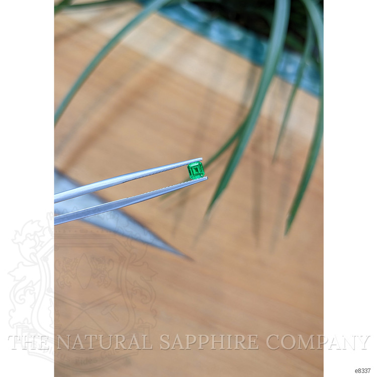 0.30 Ct. Emerald from Afghanistan