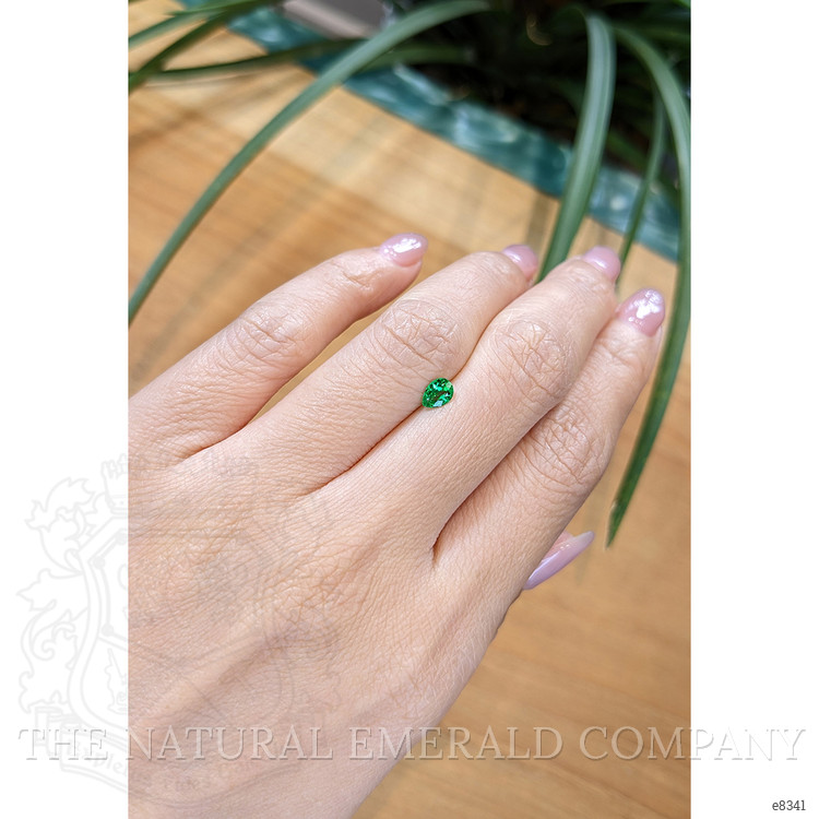 0.27 Ct. Emerald from Afghanistan