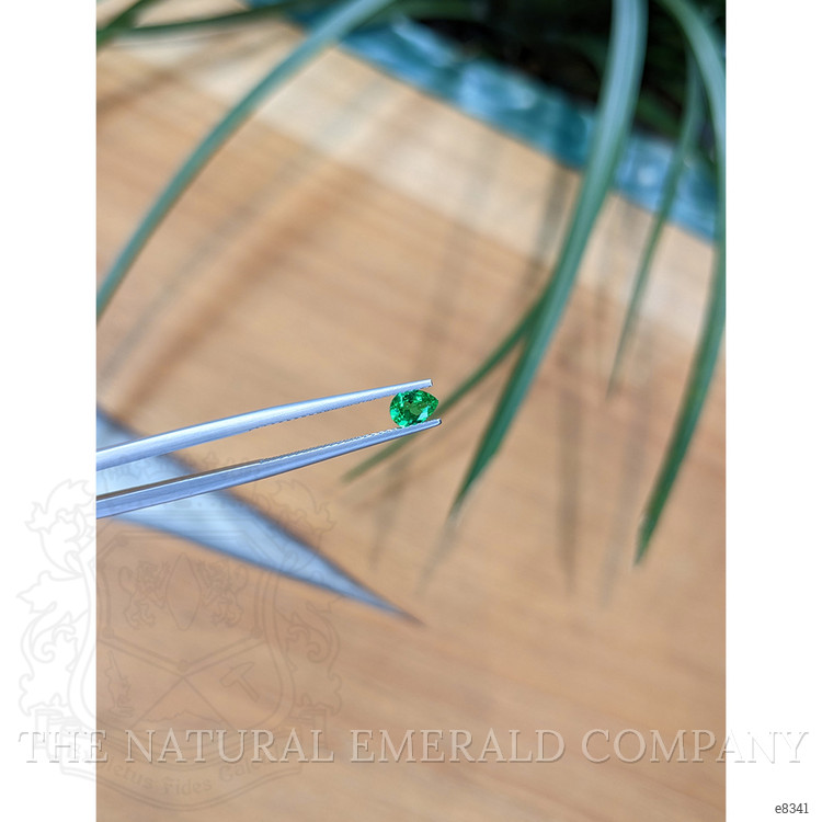 0.27 Ct. Emerald from Afghanistan
