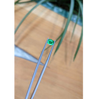 0.53 Ct. Emerald from Afghanistan Life Style