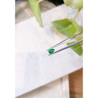 0.29 Ct. Emerald from Afghanistan Life Style