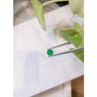0.49 Ct. Emerald from Afghanistan Life Style