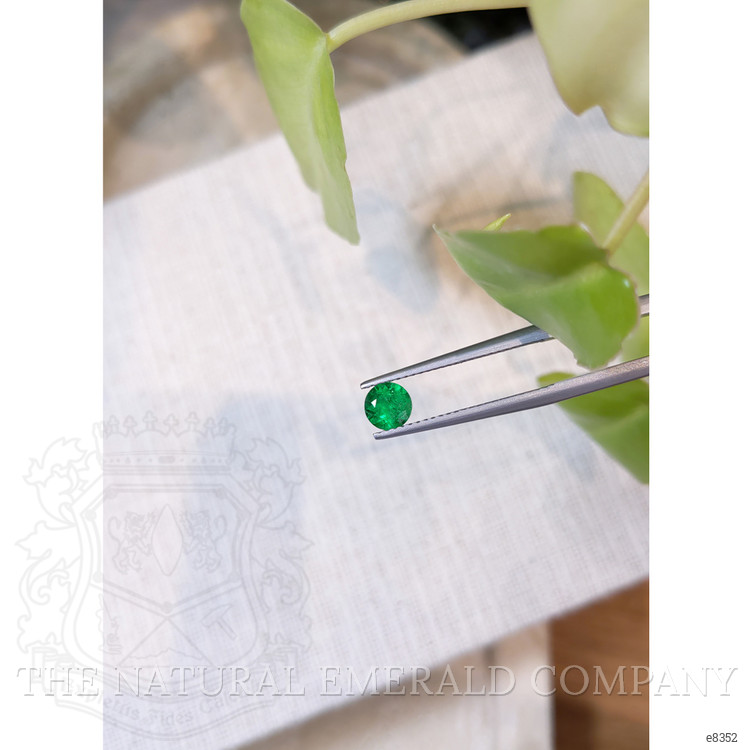 0.49 Ct. Emerald from Afghanistan