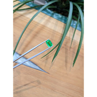 3.64 Ct. Emerald from Zambia Life Style