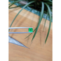 1.61 Ct. Emerald from Zambia Life Style