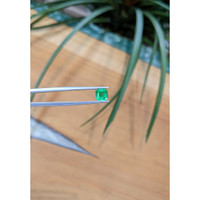 1.42 Ct. Emerald from Zambia Life Style