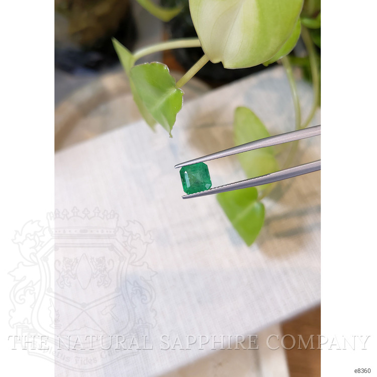 1.66 Ct. Emerald from Zambia