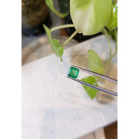 1.22 Ct. Emerald from Zambia Life Style