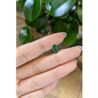 0.87 Ct. Emerald from Colombia Life Style