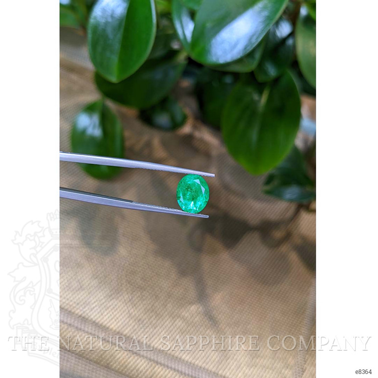 3.20 Ct. Emerald from Colombia